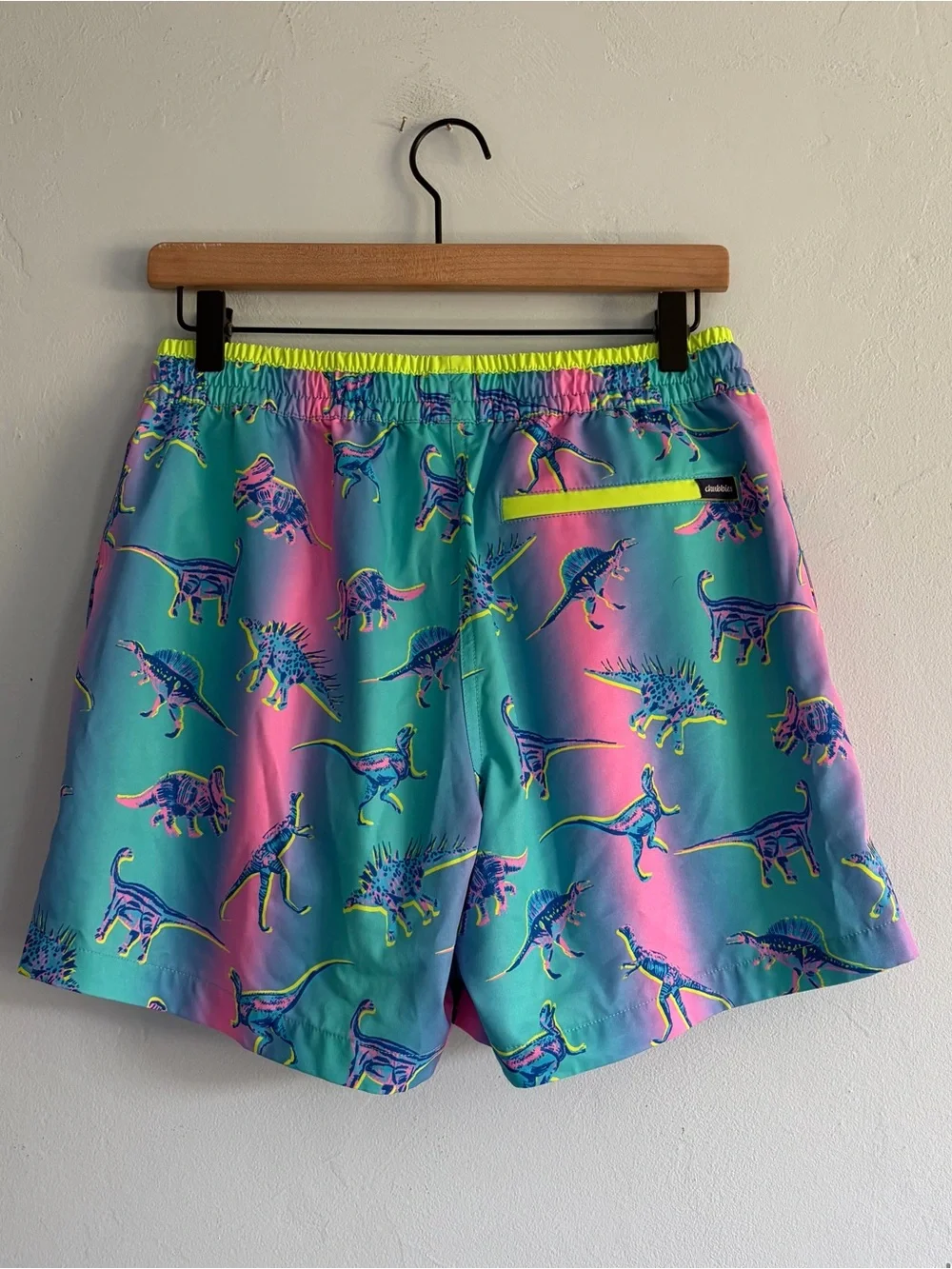 Chubbies The Dino Delight Classic Swim Trunks 5.5” Inseam